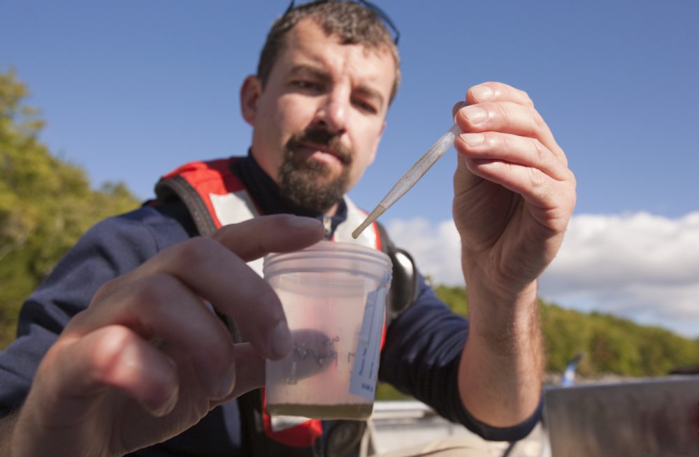 Septic Inspection