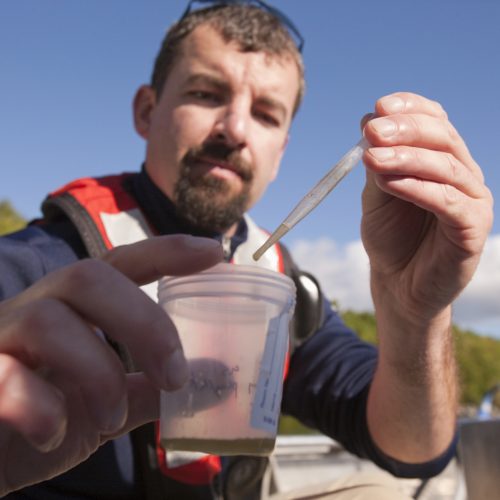 Septic Inspection
